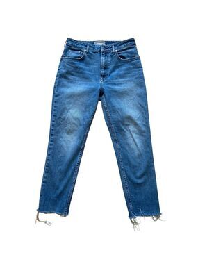 Everlane The Curvy Cheeky jeans mom style90’s inspiration lightwash blue 29 crop